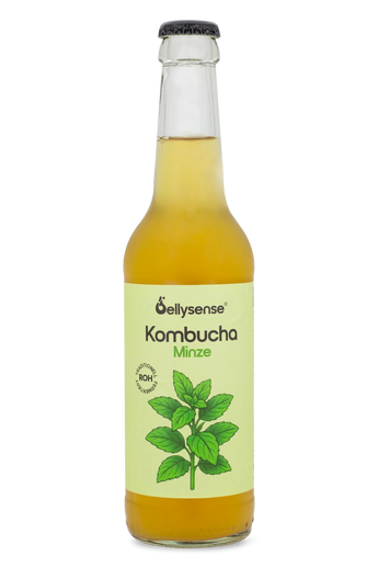 Kasten Kombucha Minze 24 x 330ml