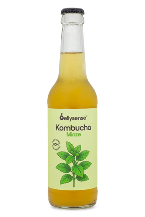 Kasten Kombucha Minze 24 x 330ml